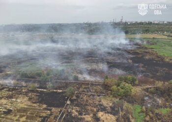 Одесу накрив запах диму через масштабне тління на полях зрошення