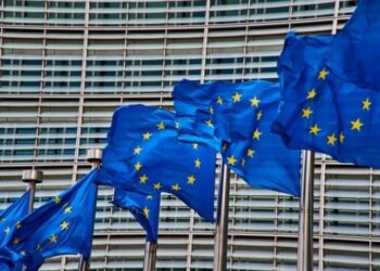 В Європарламенті розкритикували назву підрозділу ССО на честь УПА через ігнорування "польських чутливих питань"