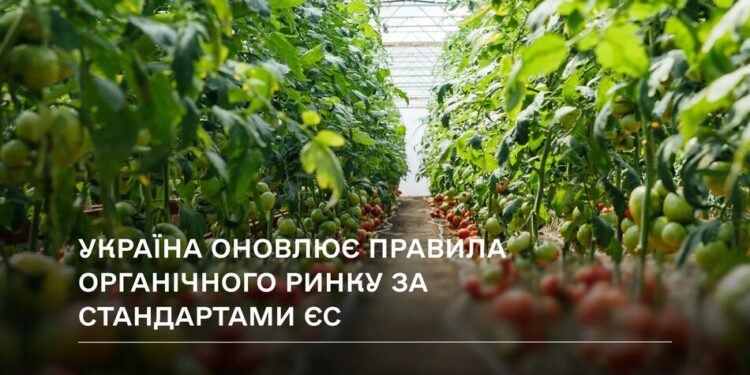 Президент підписав закон про оновлення правил органічного виробництва за стандартами ЄС