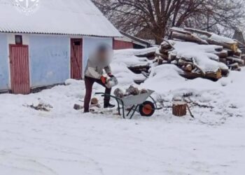 Змушували засуджених безплатно працювати на приватних територіях – на Буковині викрили посадовців колонії