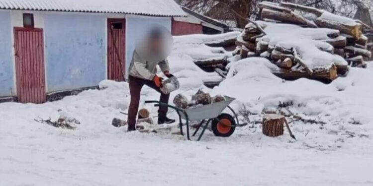 Змушували засуджених безплатно працювати на приватних територіях – на Буковині викрили посадовців колонії