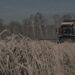 російські жнива під загрозою через дефіцит пального та провал підтримки аграріїв – розвідка