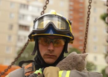 "Є місце для добра". У Києві врятували кота з пошкодженої квартири після обстрілу рф