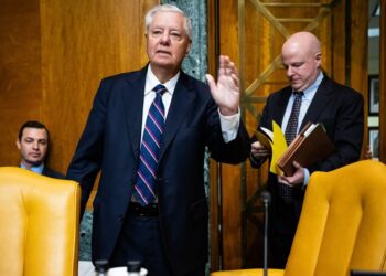 ФБР даремно витрачає час, якщо розслідує теорії змови щодо смерті Ліндсі Грема – Трамп