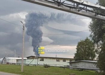 Не лише під пензою: у рф фіксують атаку дронів на склад Wildberries в удмуртії, сталася пожежа