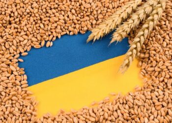 Зеленський анонсував оновлення плану захисту зернового експорту