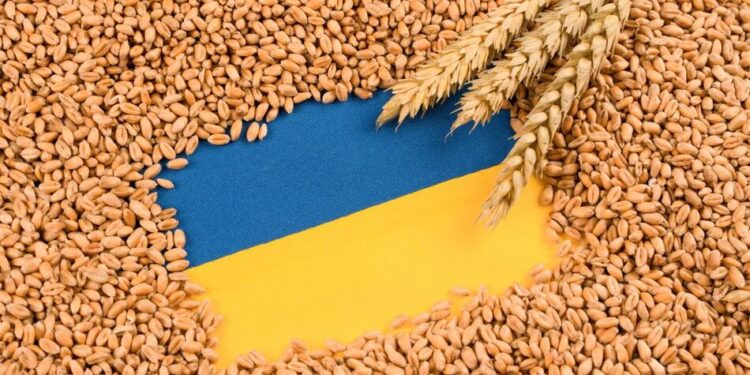 Зеленський анонсував оновлення плану захисту зернового експорту