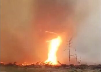 У Чорнобильській зоні помітили вогняний смерч