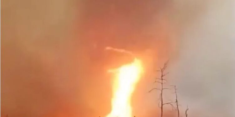 У Чорнобильській зоні помітили вогняний смерч