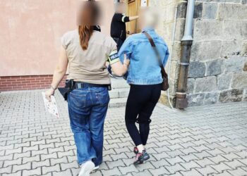 Польська поліція затримала жінку, яка побила двох 13-річних українок