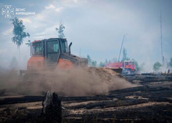 У зоні відчуження ЧАЕС знову спалахнули пожежі, основні осередки локалізували