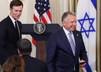 Україна після "практичної" зустрічі Трампа та Зеленського чекає на візит спецпосланців Віткоффа і Кушнера – ЗМІ