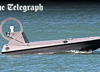 Камери на дронах британської морської піхоти таємно передавали дані до Китаю – ЗМІ