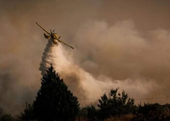 Збитки від пожеж у Європі перевищили 3 млрд євро – FT