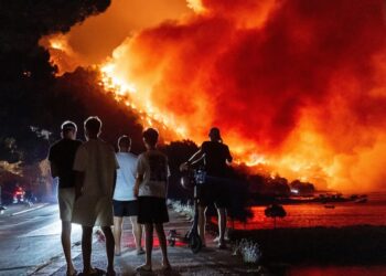 У Франції затримали майже 500 людей через підозри у підпалах