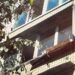 У Києві жінка викинула пінчера з балкона під час застілля: собака загинув, винуватиці загрожує до 8 років