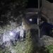 росія атакувала Одесу вночі, пошкоджено інфраструктуру та житловий будинок