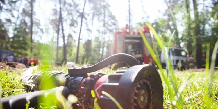 Надзвичайний рівень пожежної небезпеки: українців попередили про ризики на тлі сильної спеки