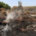 У Франції затримали понад 400 осіб за підпали лісів