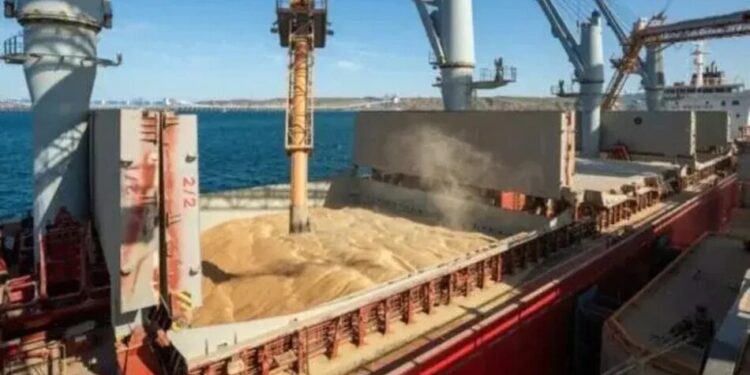 Експорт зерна з України обвалився через ситуацію в Чорному морі: що сталося з морським коридором