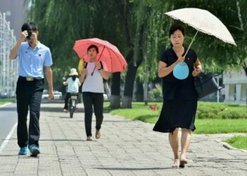 Жителів Північної Кореї закликали рятуватися від спеки супом із собак