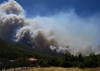 У Греції вирують масштабні лісові пожежі, знищено сотні будинків