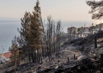 Лісова пожежа в Хорватії забрала життя людини, близько 40 поранено