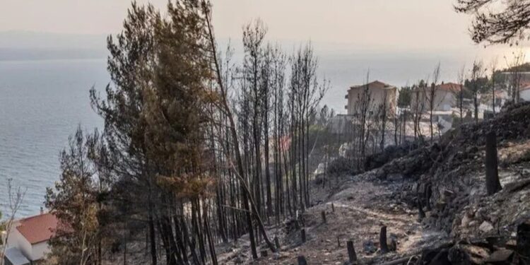 Лісова пожежа в Хорватії забрала життя людини, близько 40 поранено