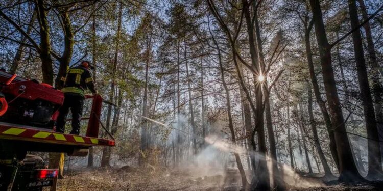 У Німеччині через лісову пожежу евакуювали понад 1800 людей, вогонь наблизився до села біля кордону з Бельгією