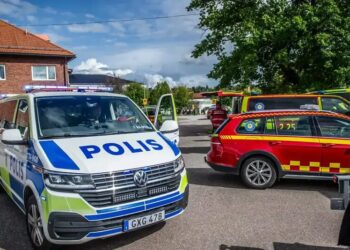 У Швеції поліція перевіряє онлайн-мережі після вбивства дівчини внаслідок нападу з мечем у школі