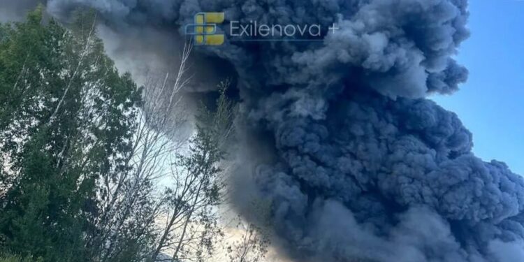 Відвідали 15 і спопелили 13: "Мадяр" підбив підсумки після ураження Wildberries під петербургом