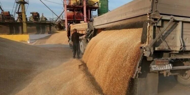 Аграрії на окупованих територіях не можуть вивезти зерно через відмову перевізників – ЦНС