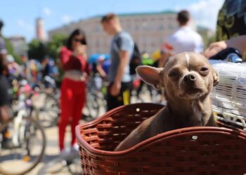 Грозові дощі і до +33°: синоптики дали прогноз на 9 серпня