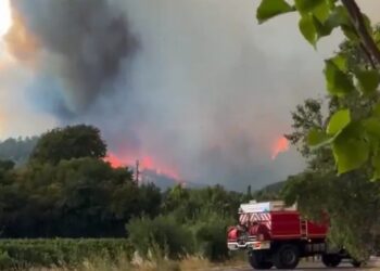 Виноробні Бреда Пітта та Анджеліни Джолі у Франції загрожують лісові пожежі