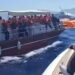 Біля Кіпру перекинувся пором – із 267 людей на борту врятували 159