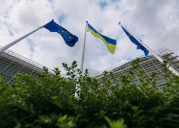 ЄС відмовив Україні у гранті на 220 млн євро для фермерів – ЗМІ