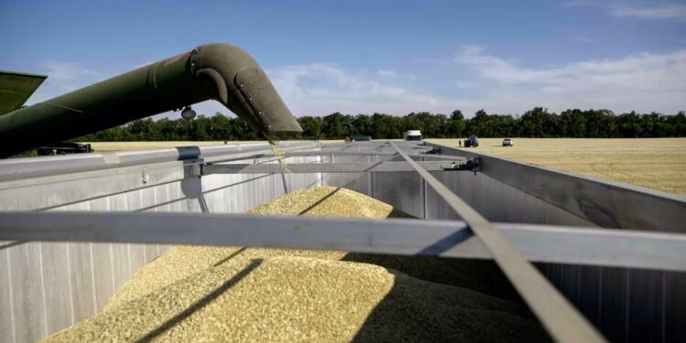 Експорт агропродукції з України може скоротитися на 54% через атаки на порти – Bloomberg