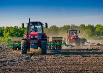 Посуха на тлі спеки може зашкодити врожаю і посівній озимини – Укргідрометцентр