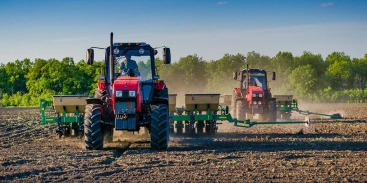 Посуха на тлі спеки може зашкодити врожаю і посівній озимини – Укргідрометцентр