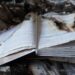 рф боїться українських книжок і має на це підстави – Сибіга закликав партнерів надати Україні більше ППО