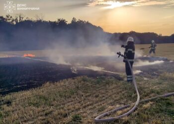 В Україні триває ліквідація семи пожеж в екосистемах, залучено десятки рятувальників