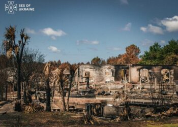 Обвуглені дерева та зруйновані будинки – українські рятувальники показали наслідки пожеж у Франції