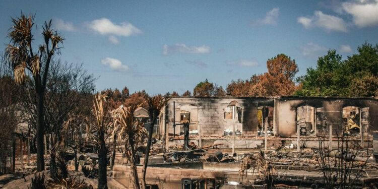 Обвуглені дерева та зруйновані будинки – українські рятувальники показали наслідки пожеж у Франції