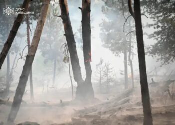 За добу в Україні виникло 14 лісових пожеж на площі 12,3 га – оголошено найвищий рівень небезпеки