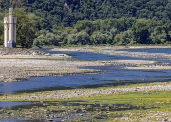 У Рейні рівень води опустився до історичного мінімуму