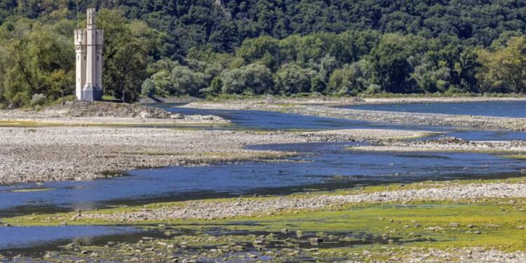 У Рейні рівень води опустився до історичного мінімуму