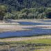 У Рейні рівень води опустився до історичного мінімуму