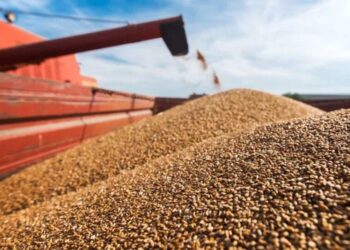 Україна та Румунія обговорили розширення логістичних спроможностей порту Констанца для експорту зерна