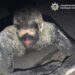 Чоловік у Києві стрибнув у смолу, щоб пограбувати супермаркет, його відмивали 5 годин