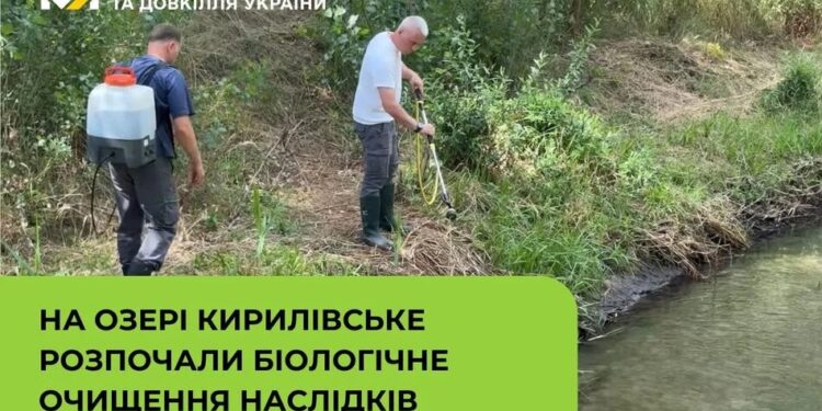 У Києві після атаки рф розпочали біологічне очищення на озері Кирилівське